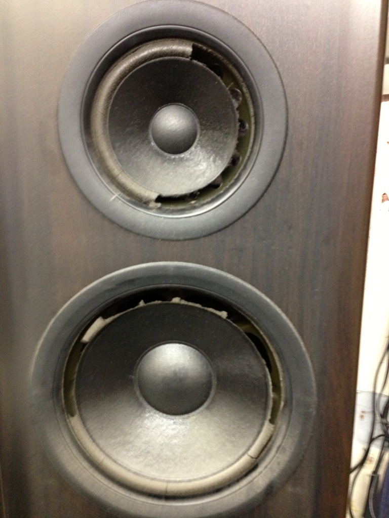 speaker repair 25